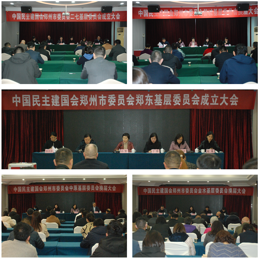 民建鄭州市委會圓滿完成基層委員會換屆（成立）大會